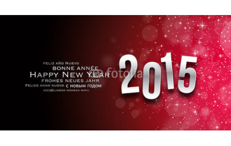 Voeux 2015